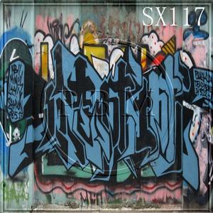 8'x8' SX117B88